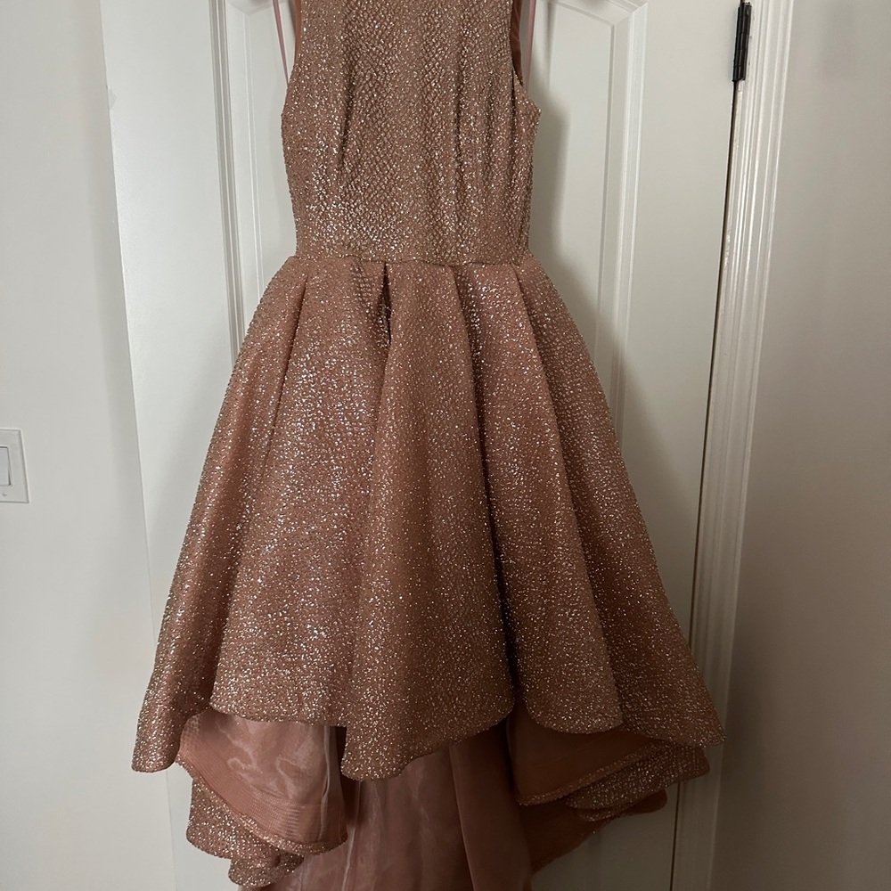 Pink Fit and Flare High-Low Prom Dress